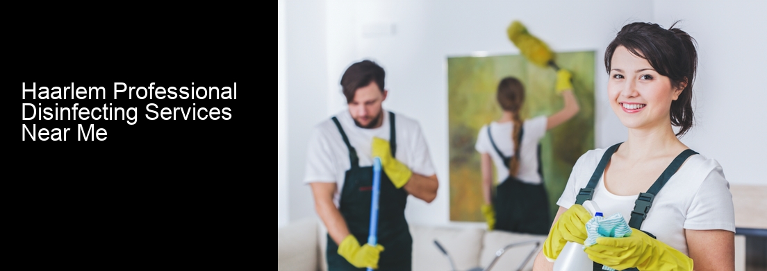 Haarlem Professional Disinfecting Services Near Me