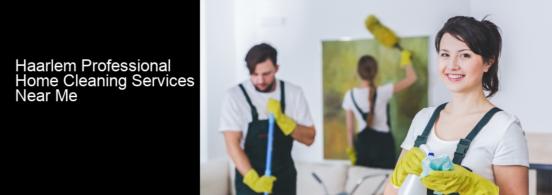 Haarlem Professional Home Cleaning Services Near Me