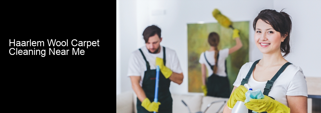Haarlem Wool Carpet Cleaning Near Me