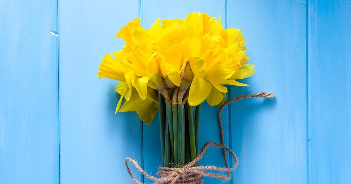 Canadian Cancer Society