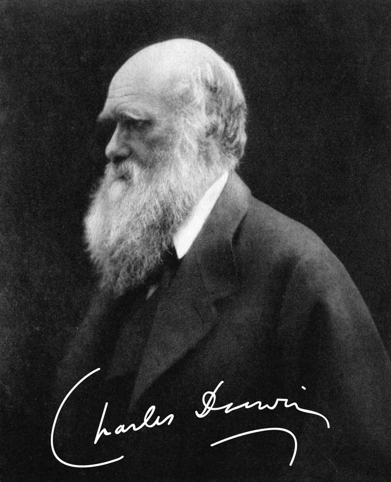 Darwin Correspondence Project