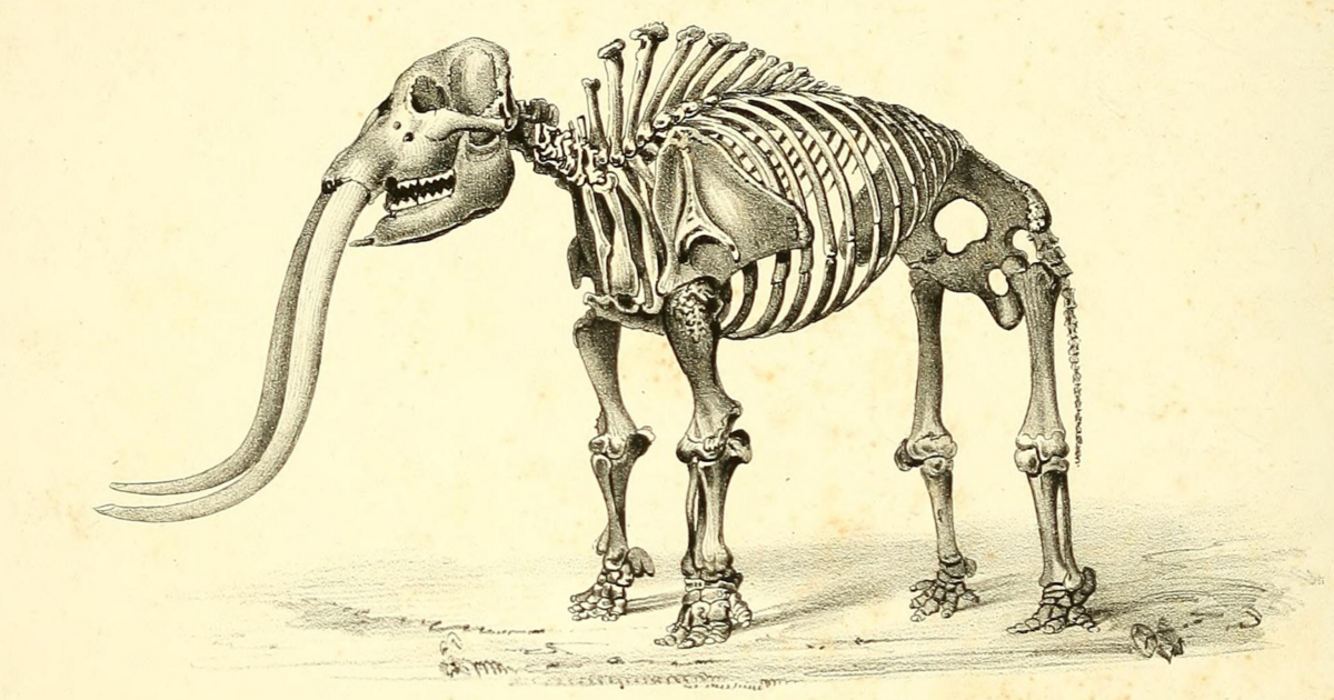 Mastodon hosted on ecoevo.social