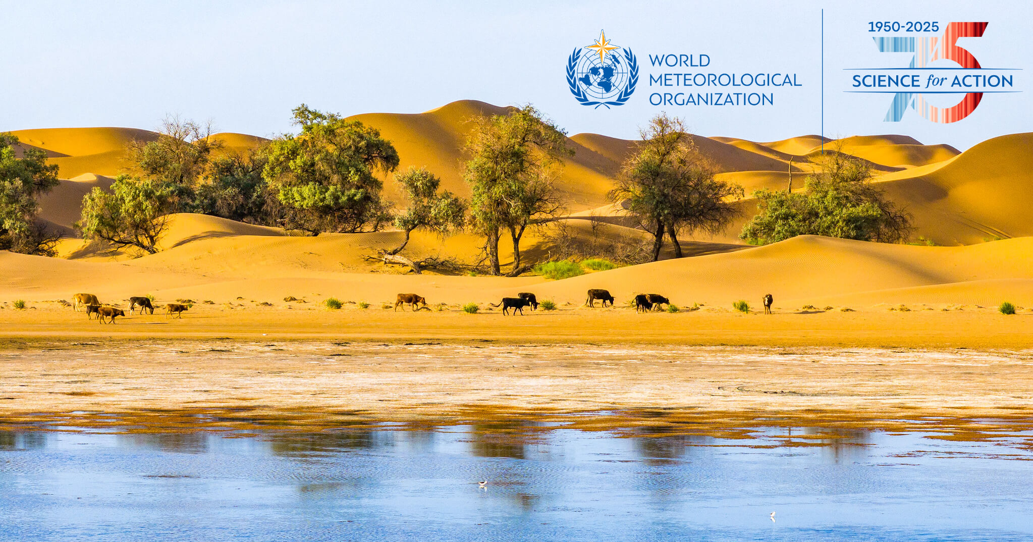 World Meteorological Organization