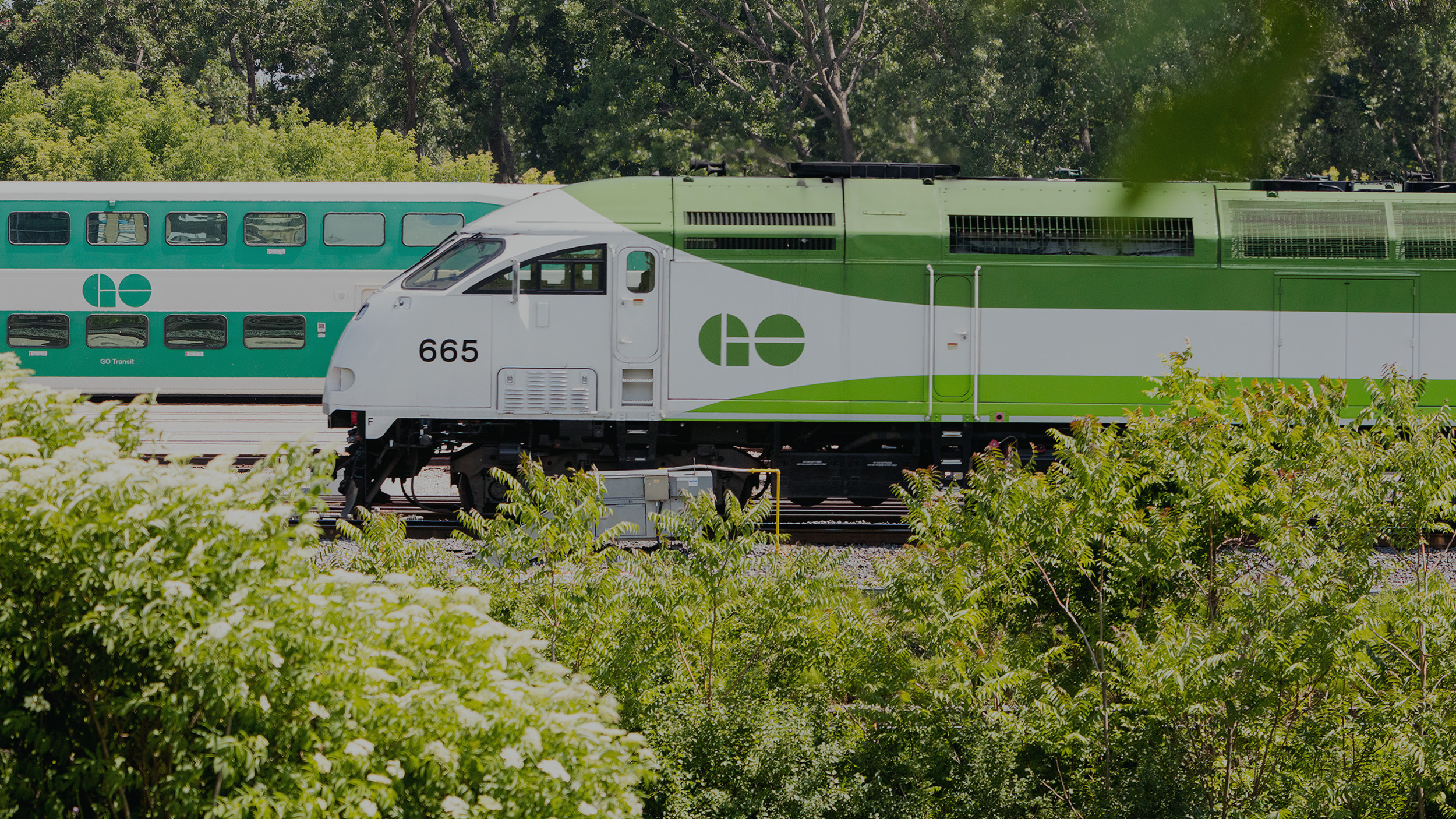 gotransit.com
