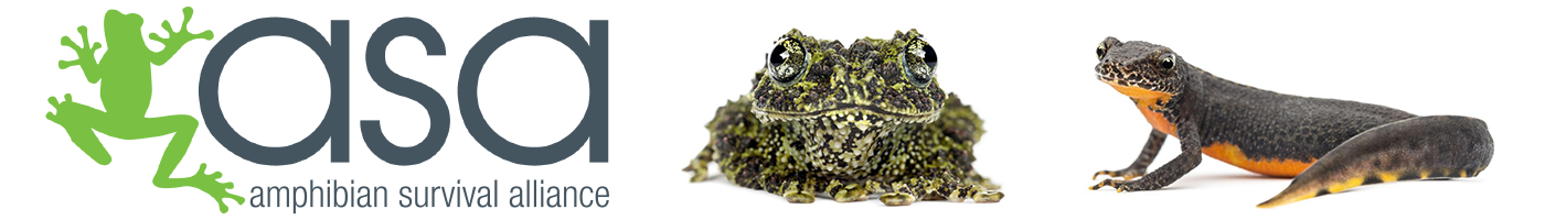 Amphibian Survival Alliance