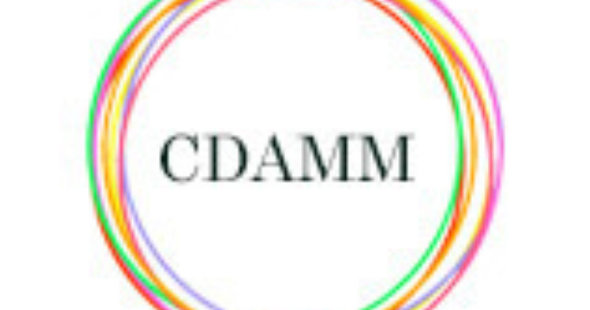 CDAMM