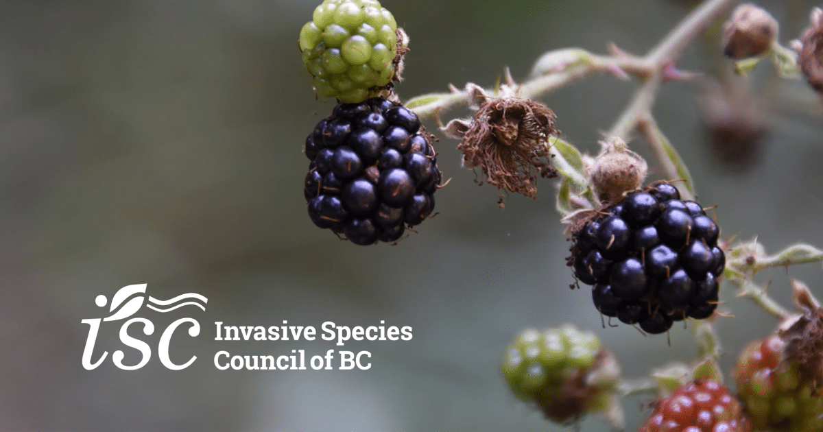Invasive Species Council of British Columbia