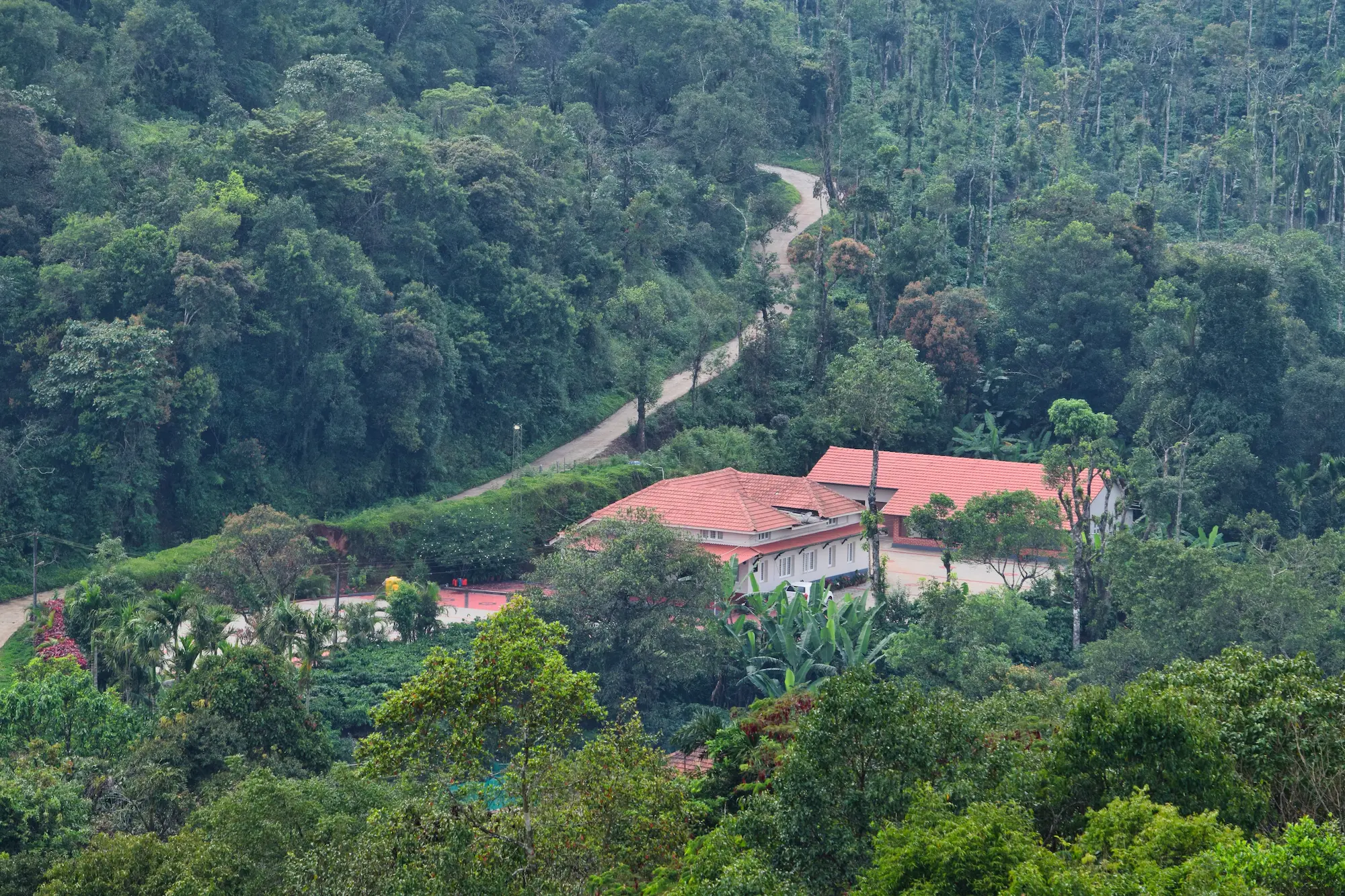 Mekanagadde Homestay - Best Chikmagalur Homestay