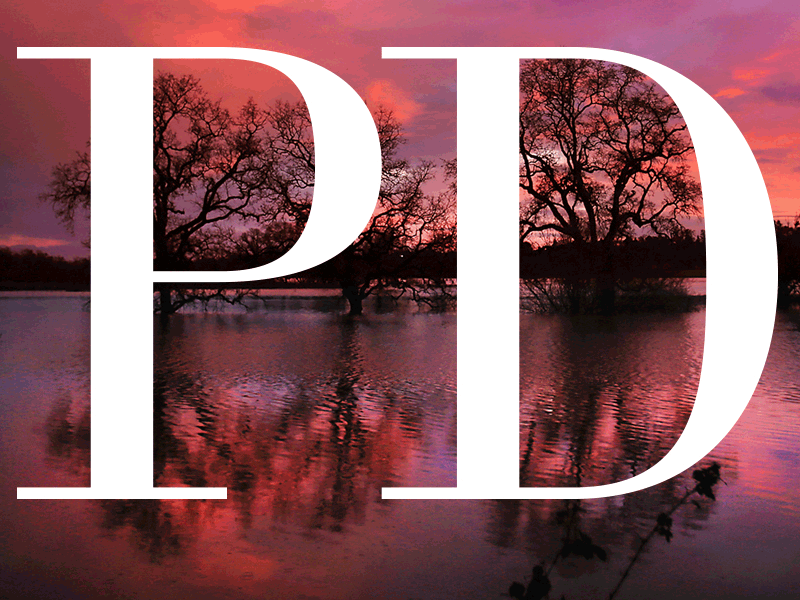 Santa Rosa Press Democrat