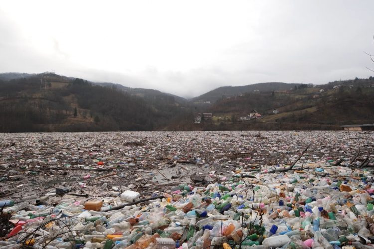 Sustainability in Conservation