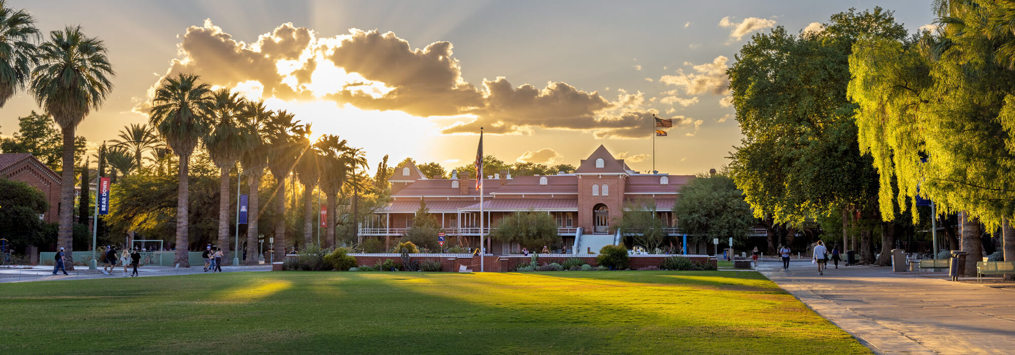 The University of Arizona