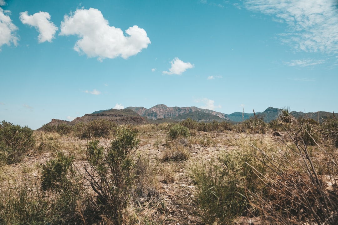 How We Help with Foreclosure Challenges  