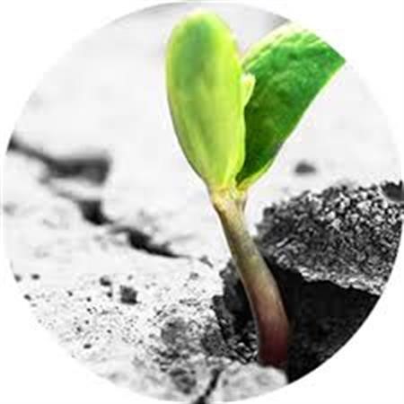 Outpatient Addiction Treatment Washington DC