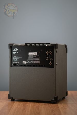 Peavey Max 100