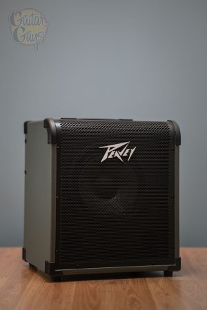 Peavey Max 100