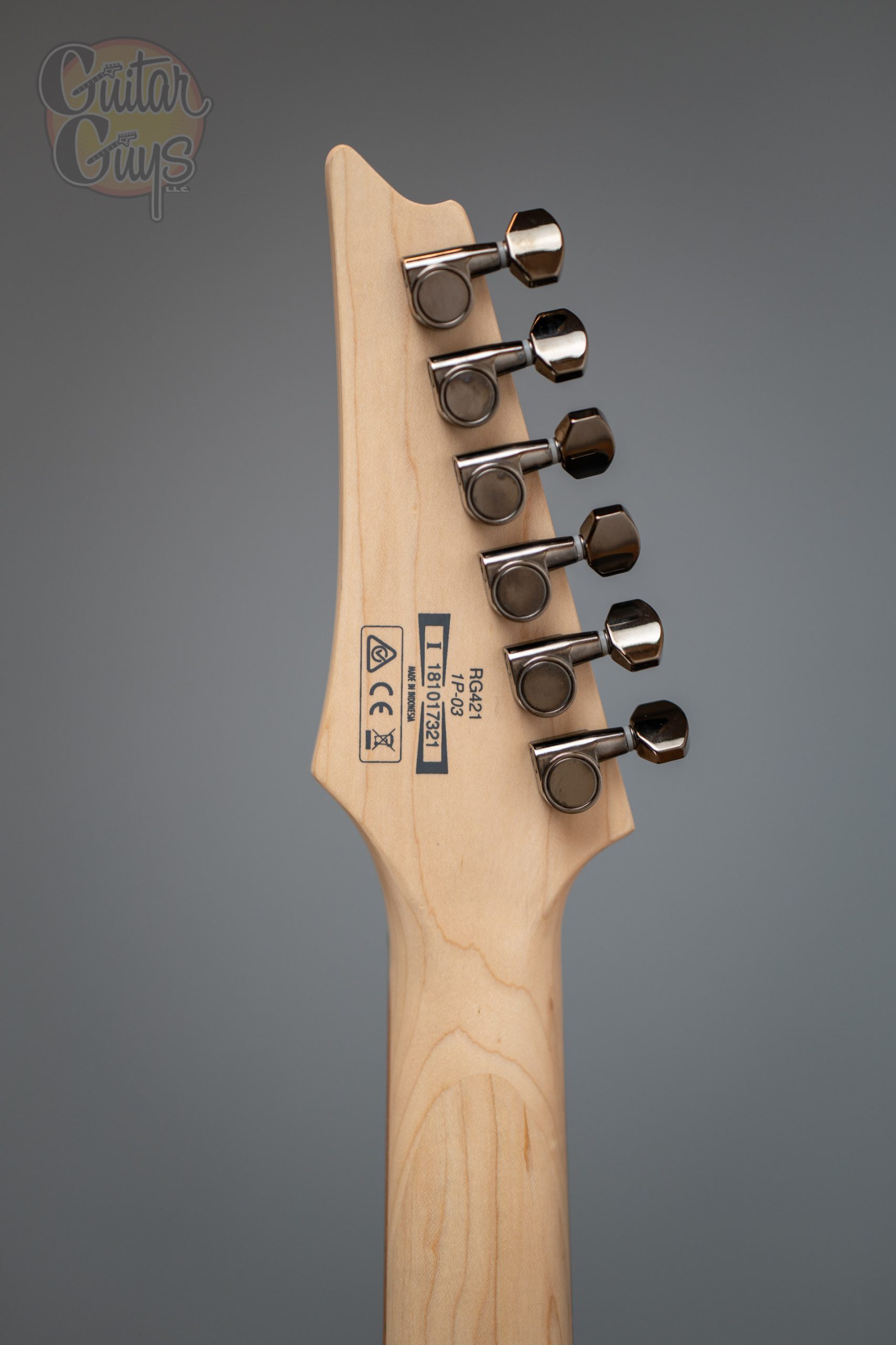 Ibanez RG421