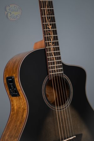 Washburn BELLA TONO VITE S9V