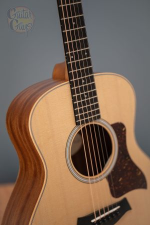 Taylor GS Mini