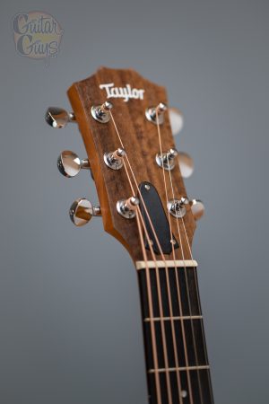 Taylor GS Mini