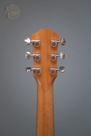 Taylor GS Mini