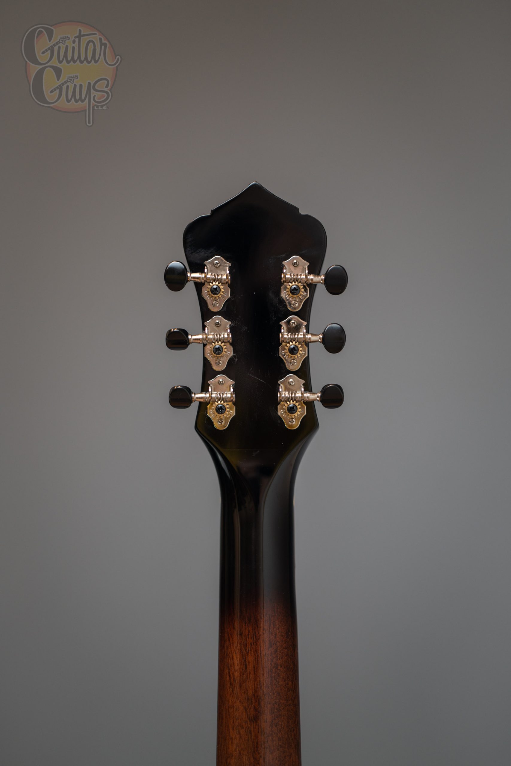 Recording King Rattlesnake Small Body Resonator