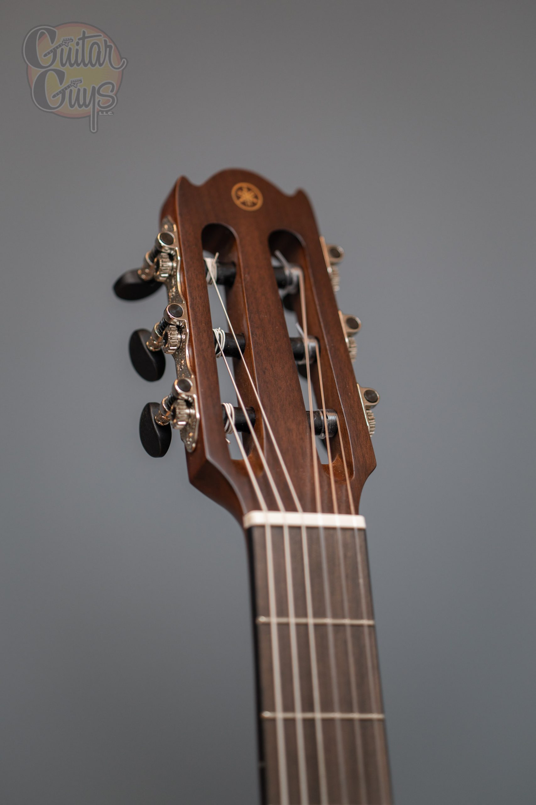 Yamaha NTX1 (Natural)