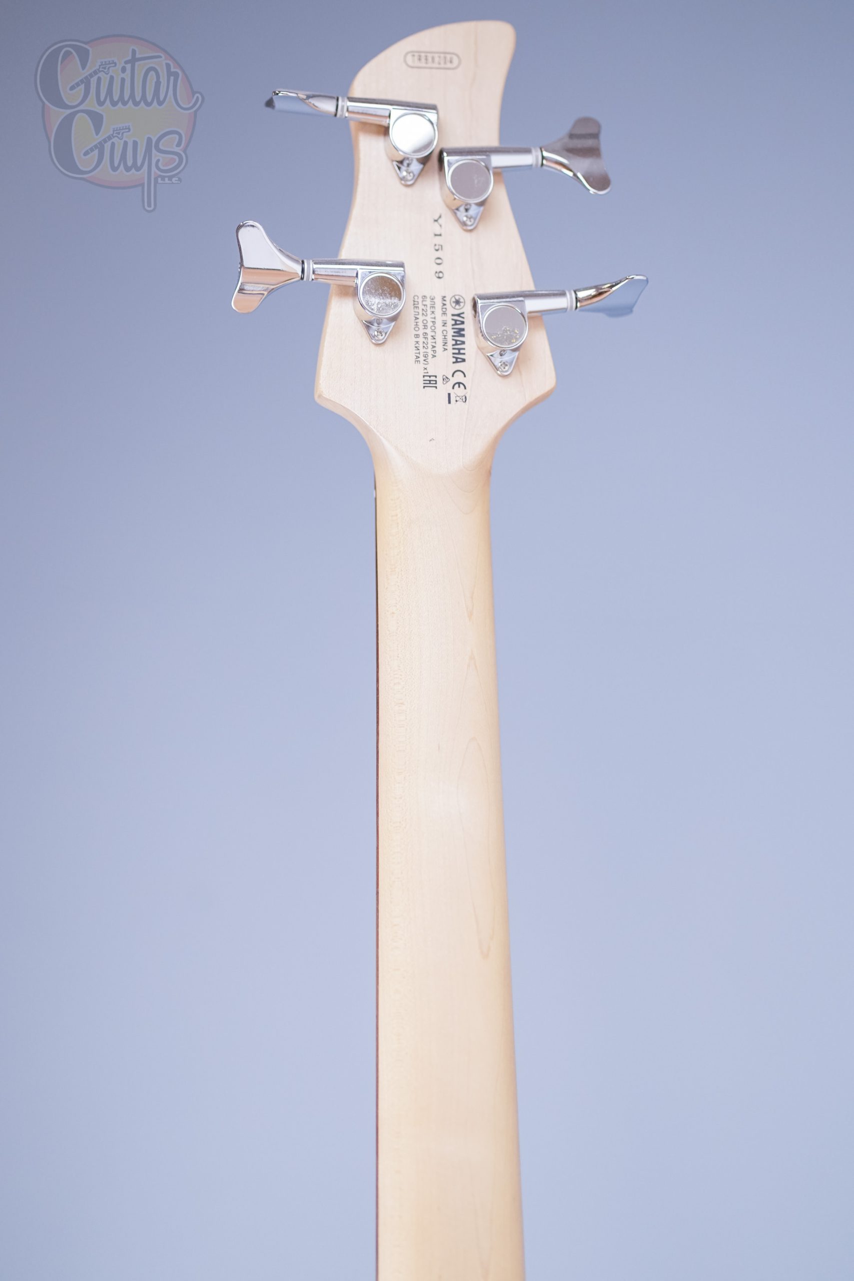 Yamaha TRBX204 (Gray Metallic)
