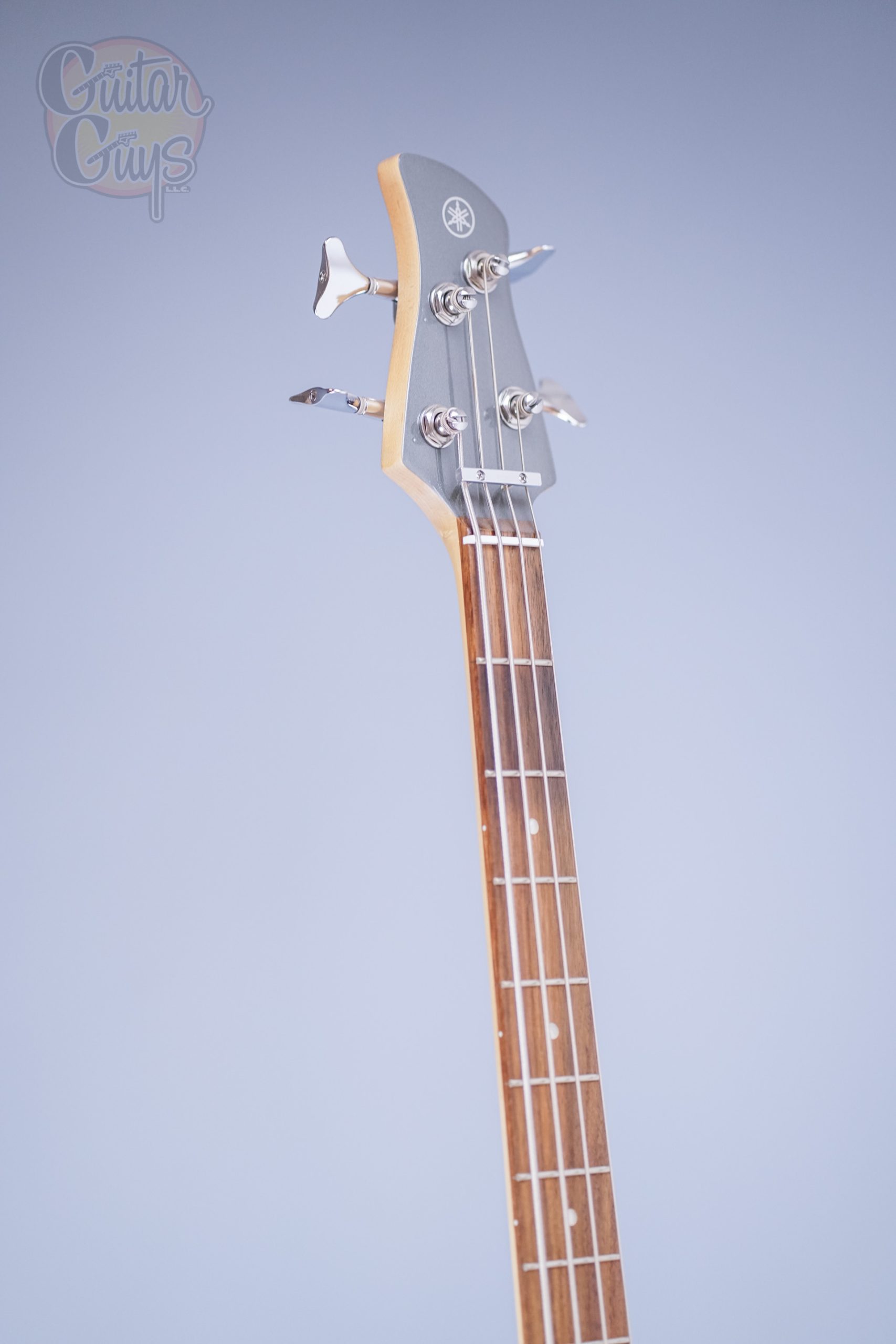 Yamaha TRBX204 (Gray Metallic)