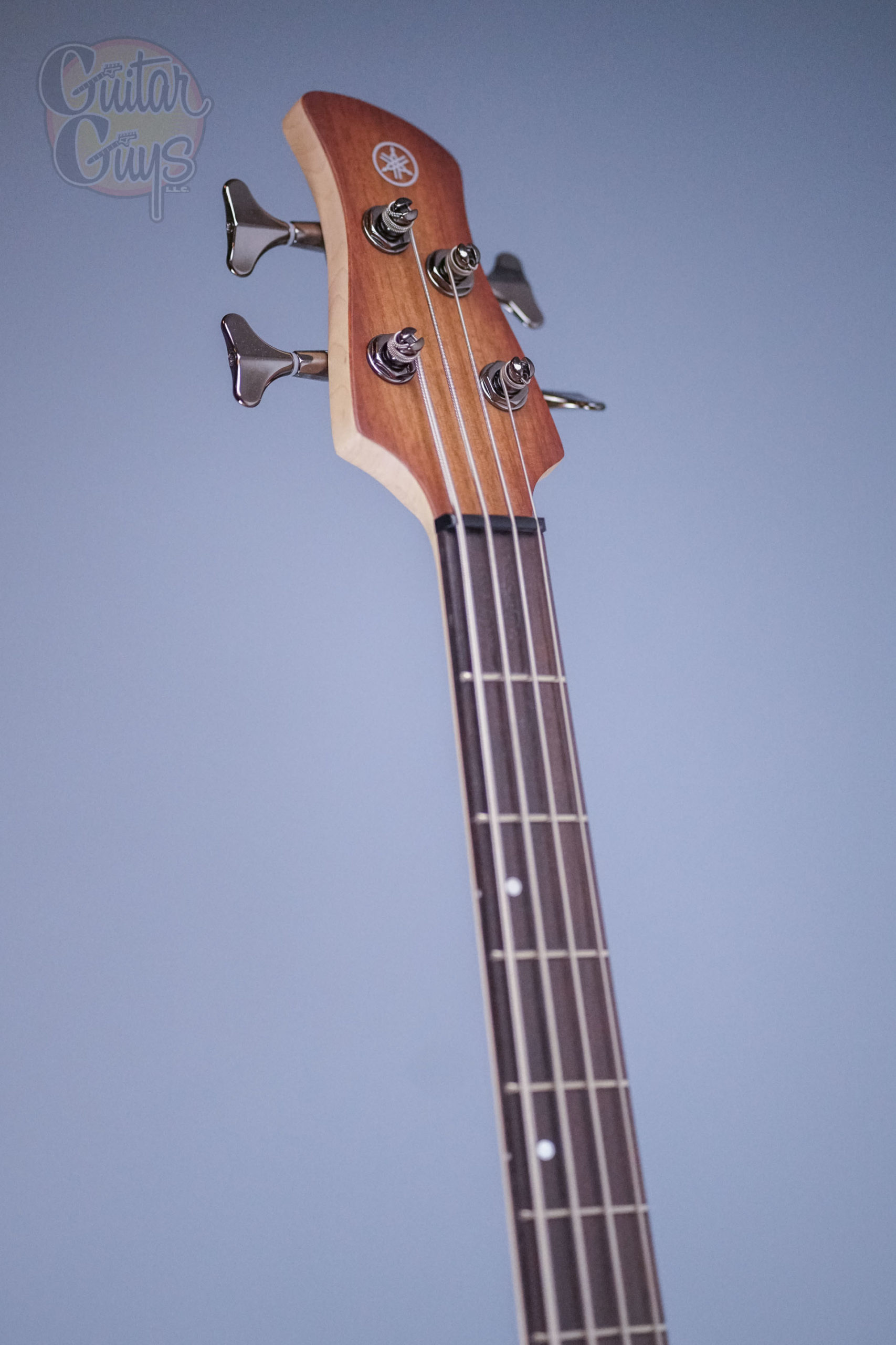 Yamaha TRBX504 (Brick Burst) - Image 3