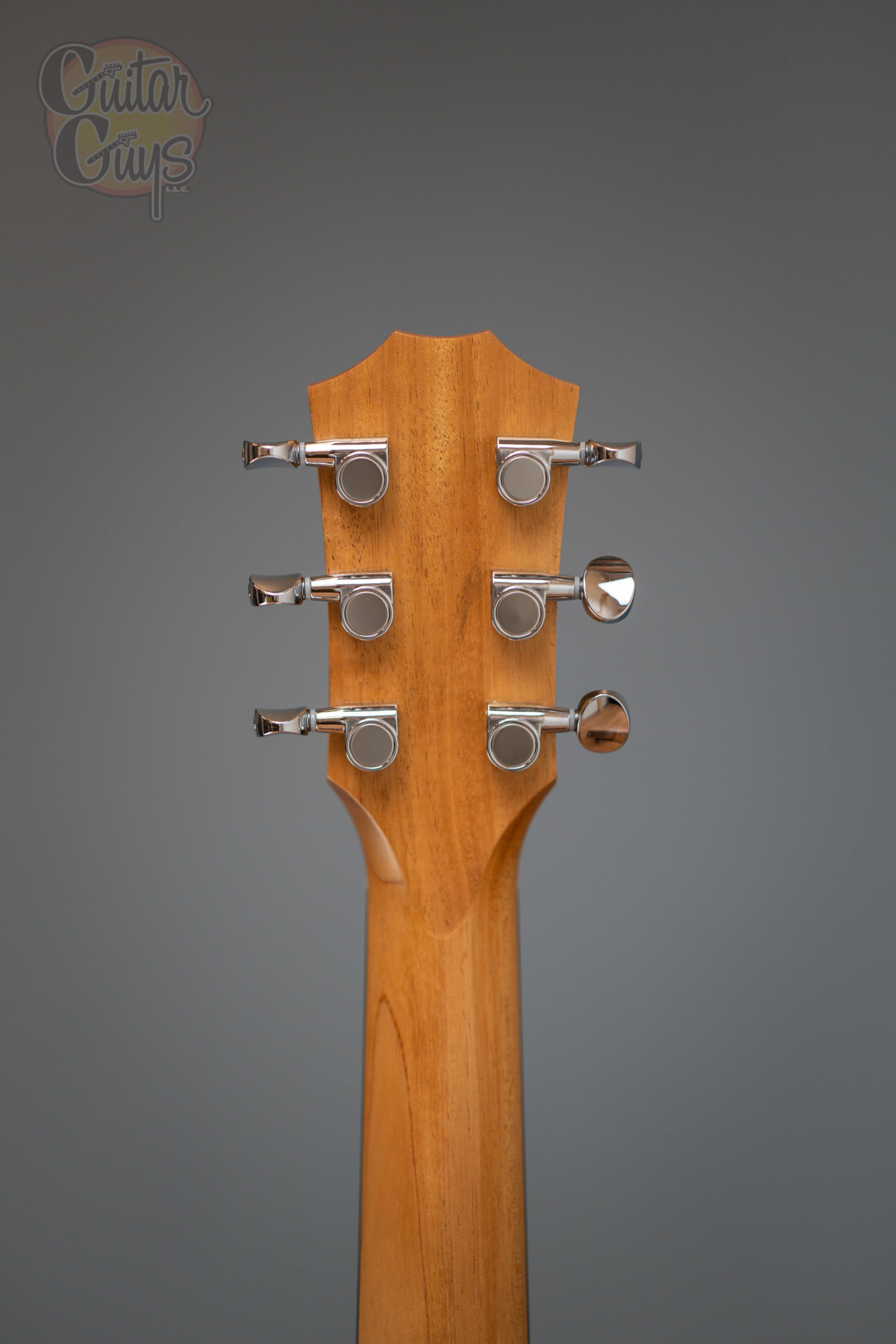 Taylor GS Mini-E (Walnut) - Image 20