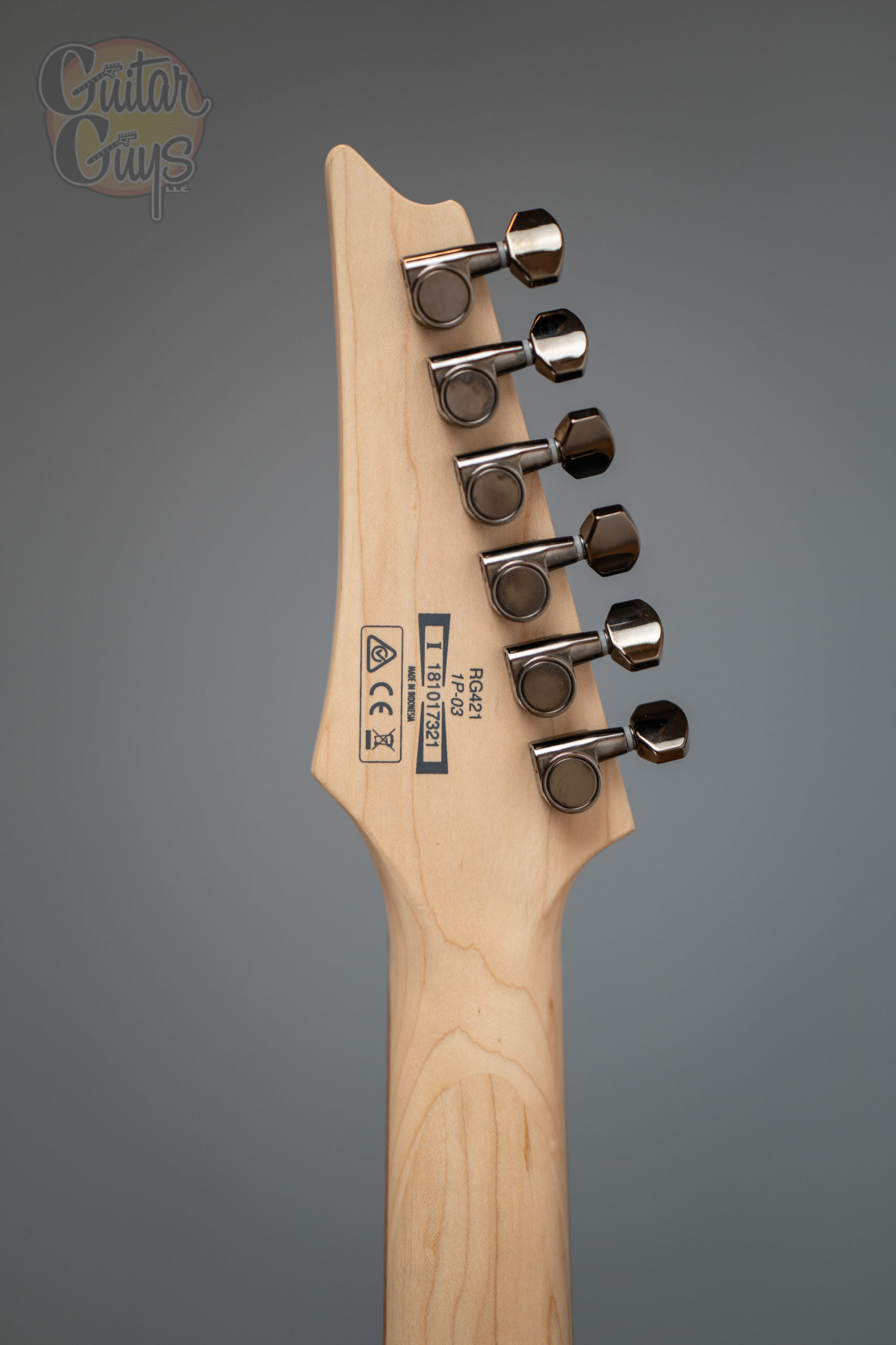 Ibanez RG421 - Image 24