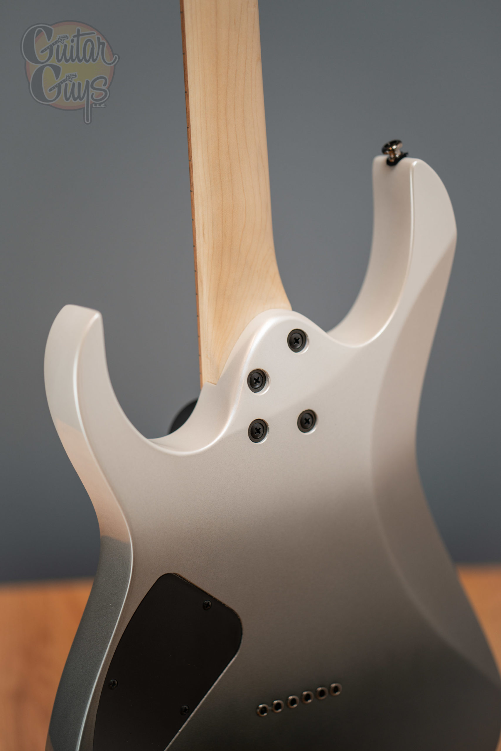 Ibanez RG421 - Image 22