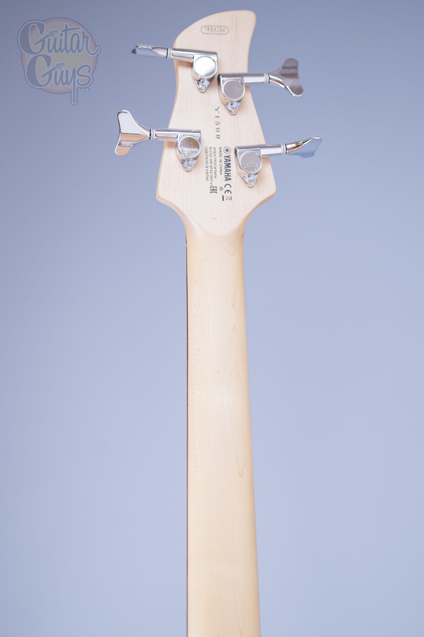Yamaha TRBX204 (Gray Metallic) - Image 19