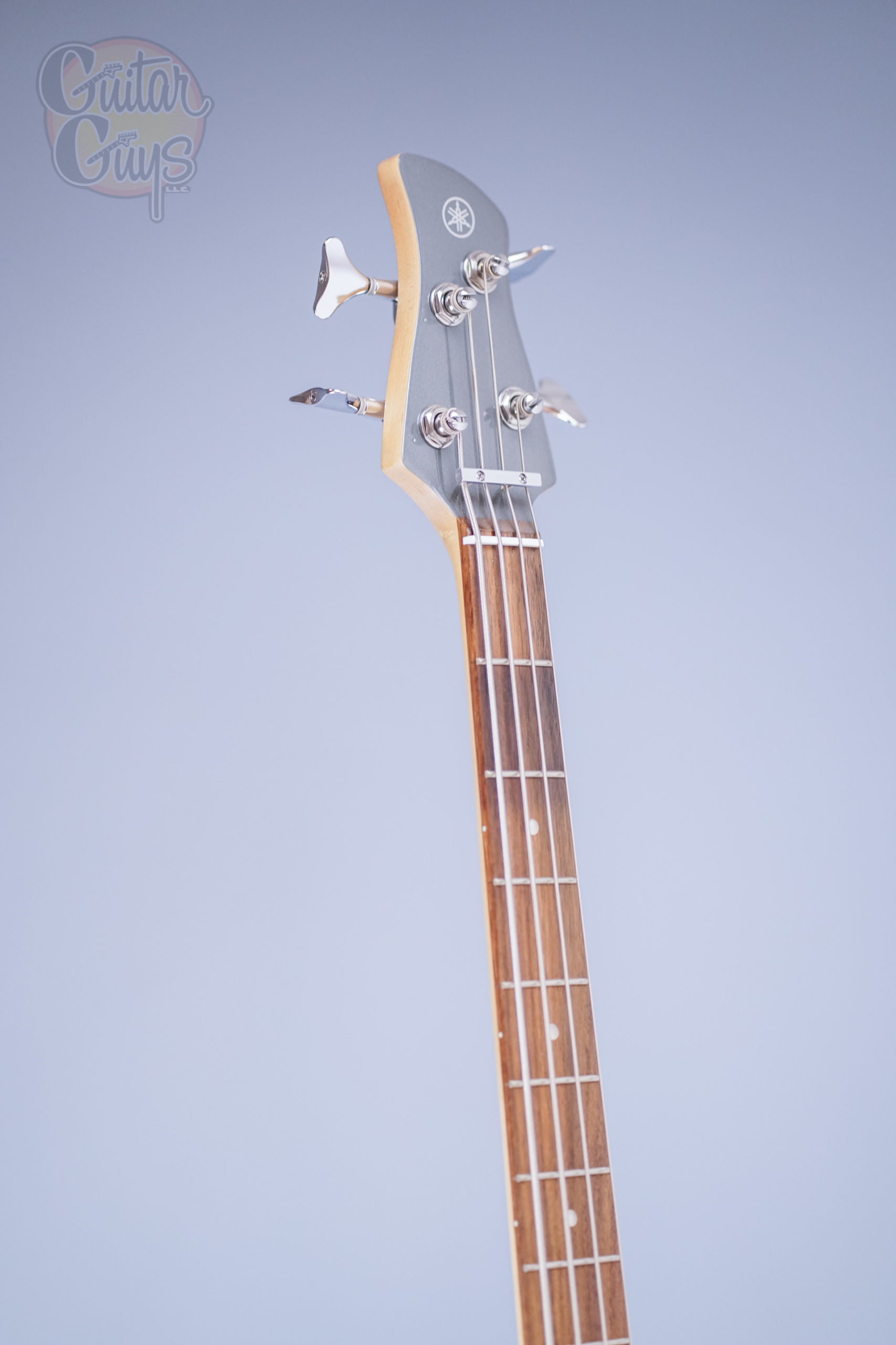 Yamaha TRBX204 (Gray Metallic) - Image 2