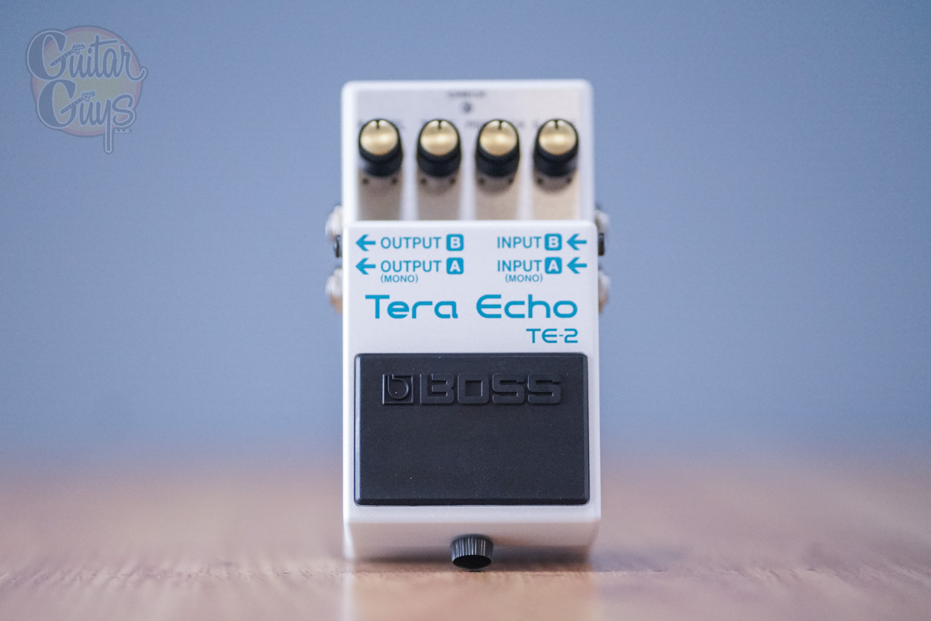 BOSS TE-2 Tera Echo