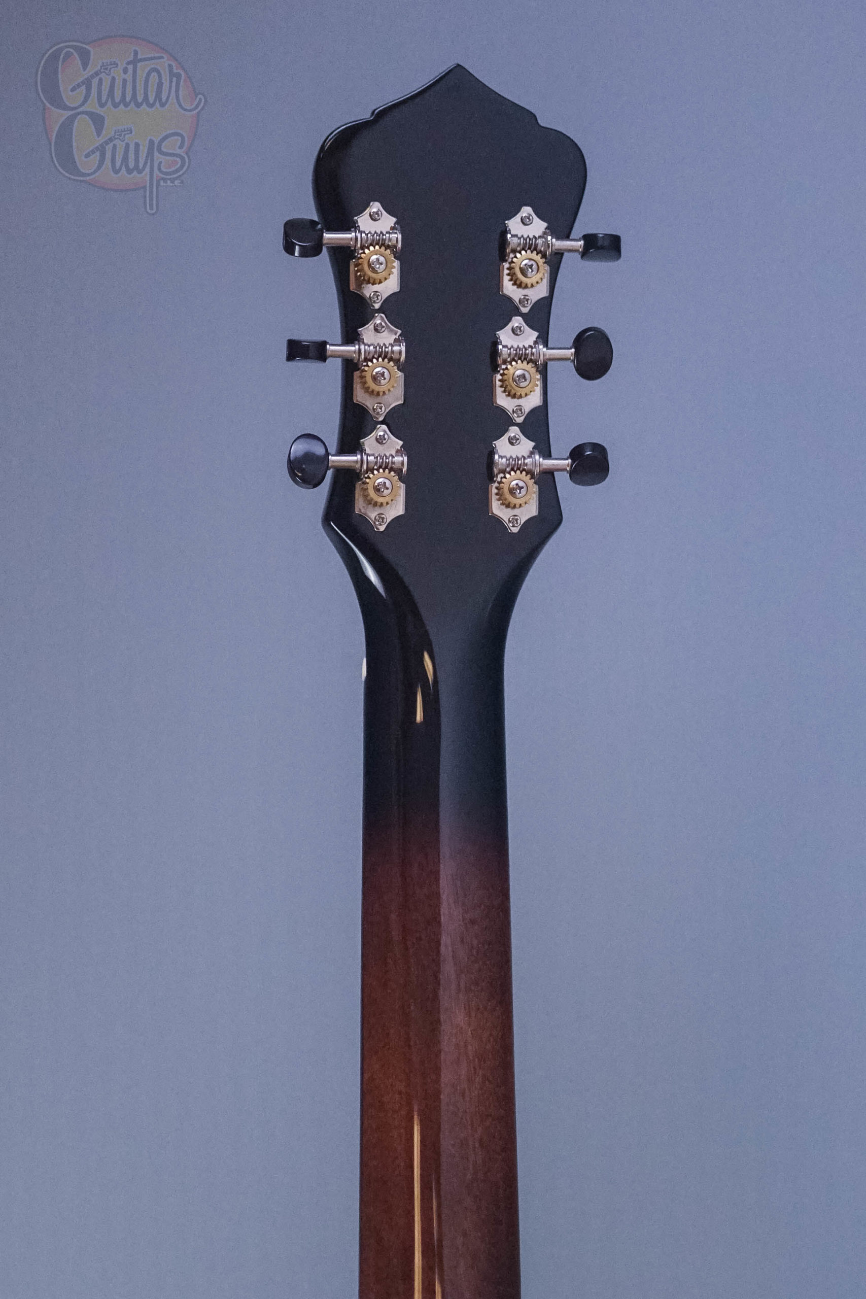 Recording King Rattlesnake Small Body Resonator - Image 4