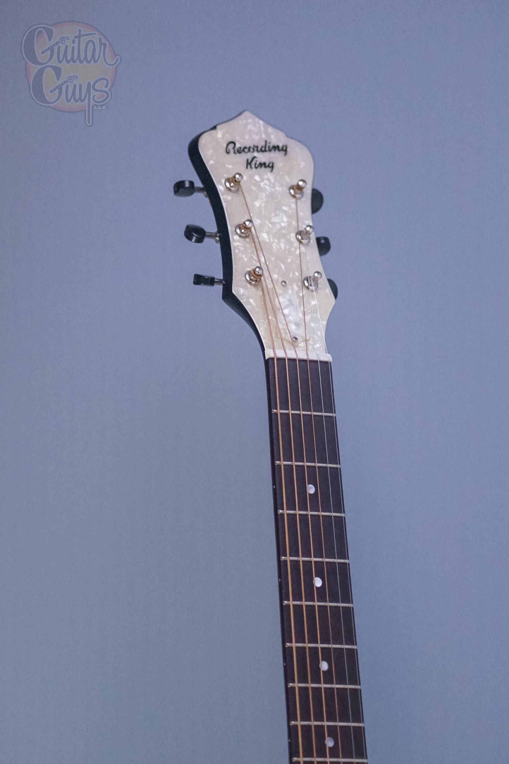 Recording King Rattlesnake Small Body Resonator - Image 2