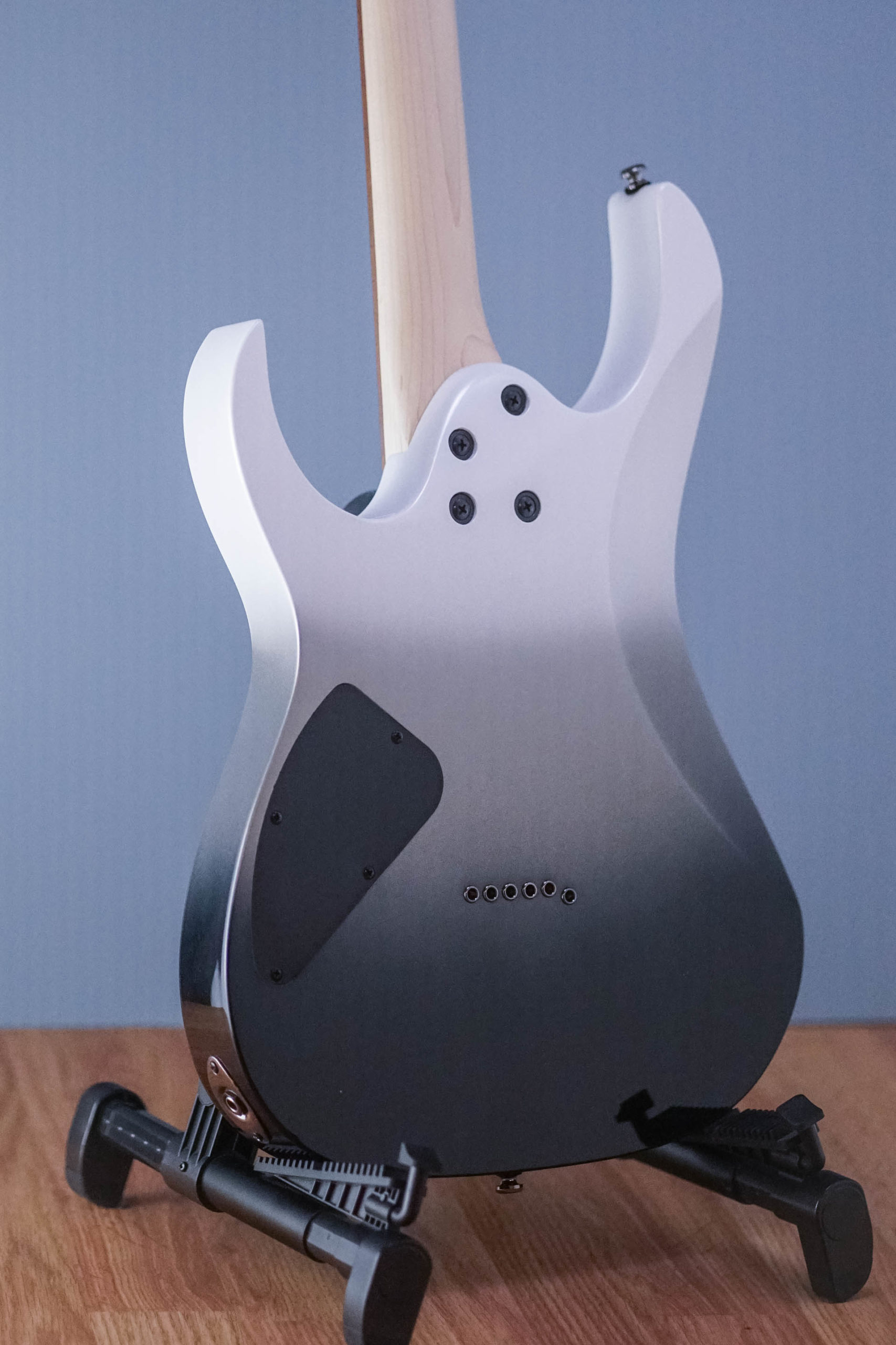 Ibanez RG421 - Image 5