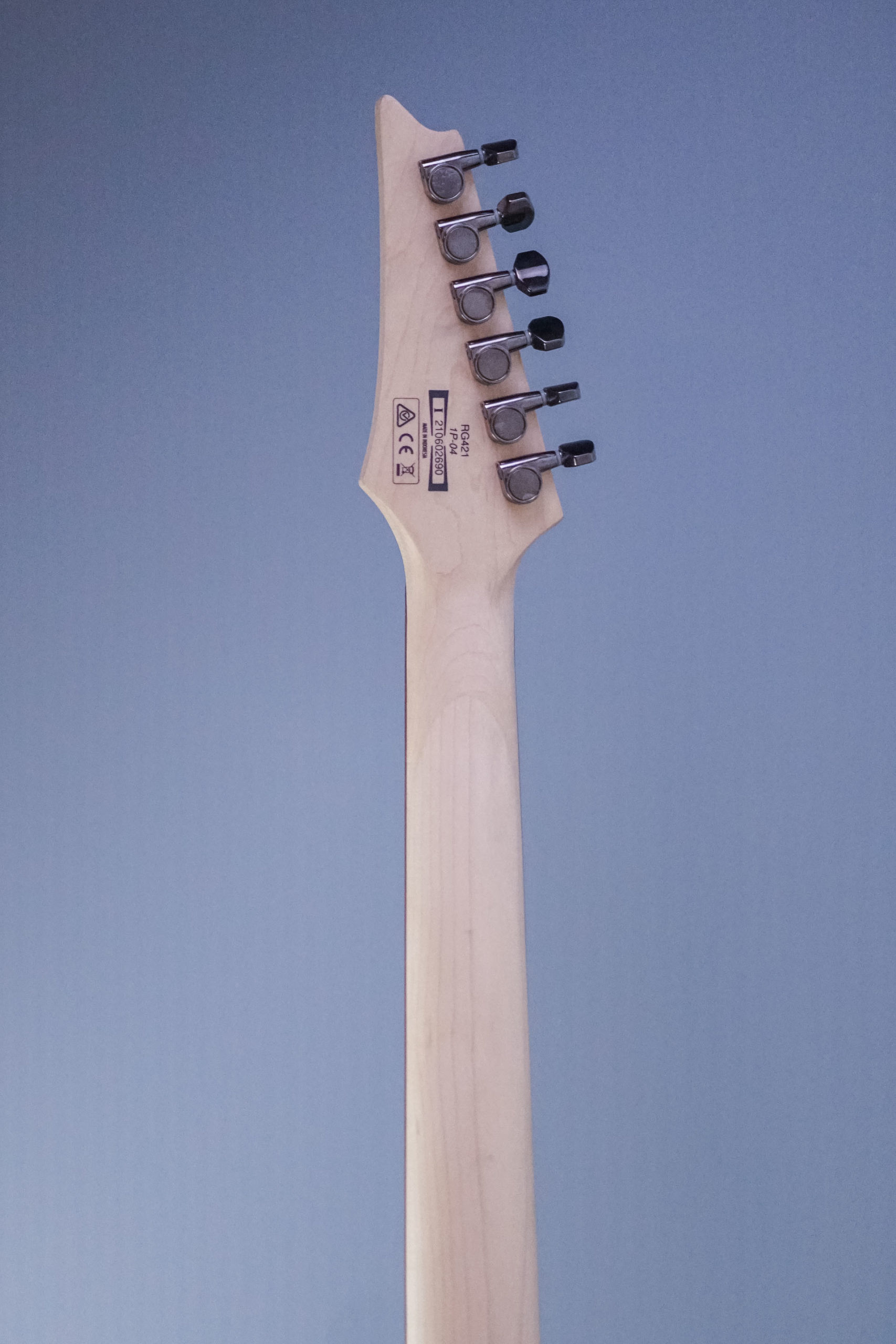 Ibanez RG421 - Image 4