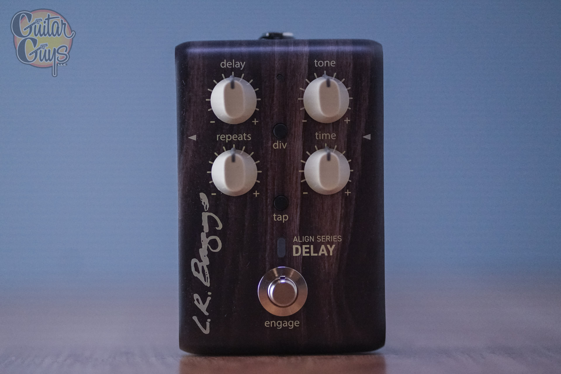 L.R. Baggs Align Delay