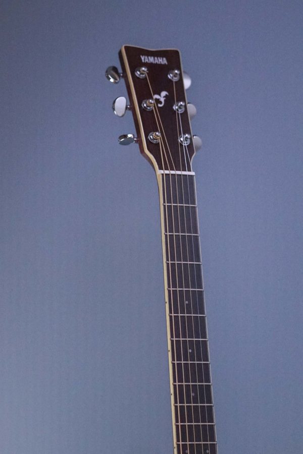 Yamaha FS 830 (Tobacco Brown Sunburst) DEMO - Guitar Guys