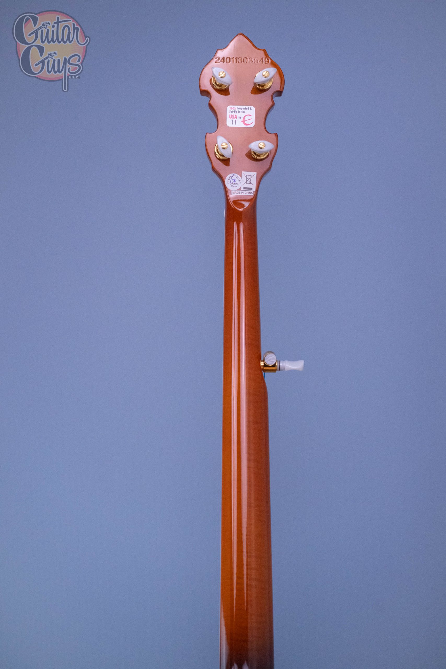 Epiphone Earl Scruggs Golden Deluxe Banjo - Image 5