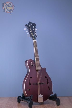 Epiphone F-5 Studio Wine Red Satin