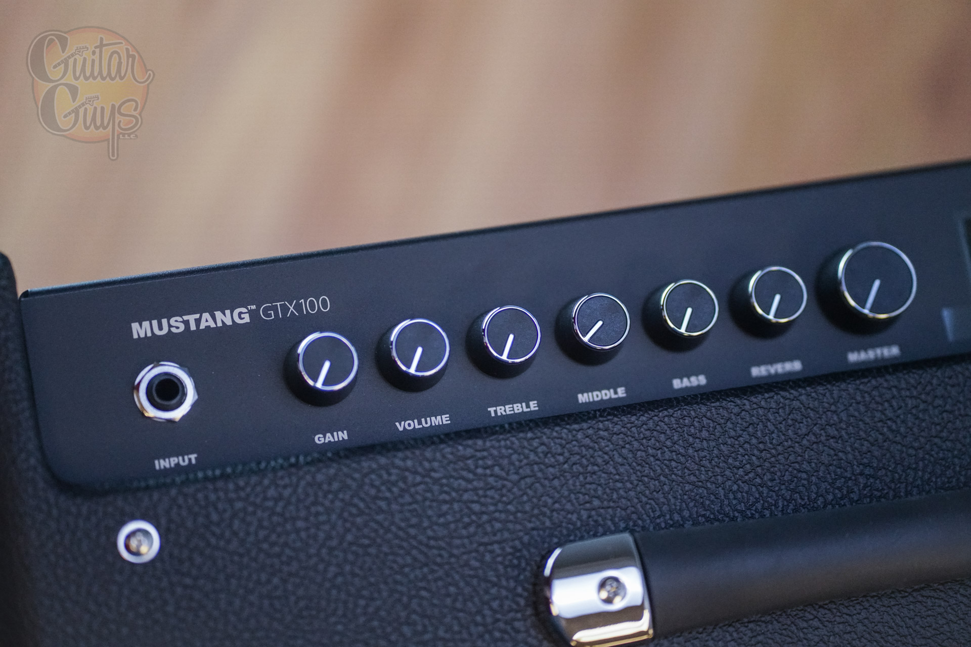 Fender Mustang GTX100 - Image 3