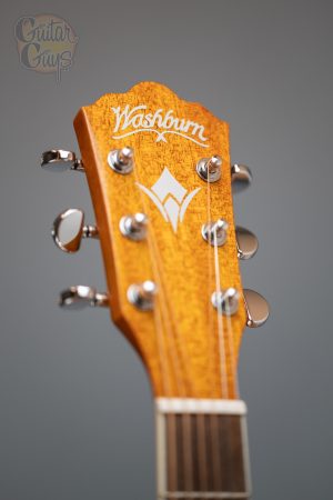 Washburn WG7S