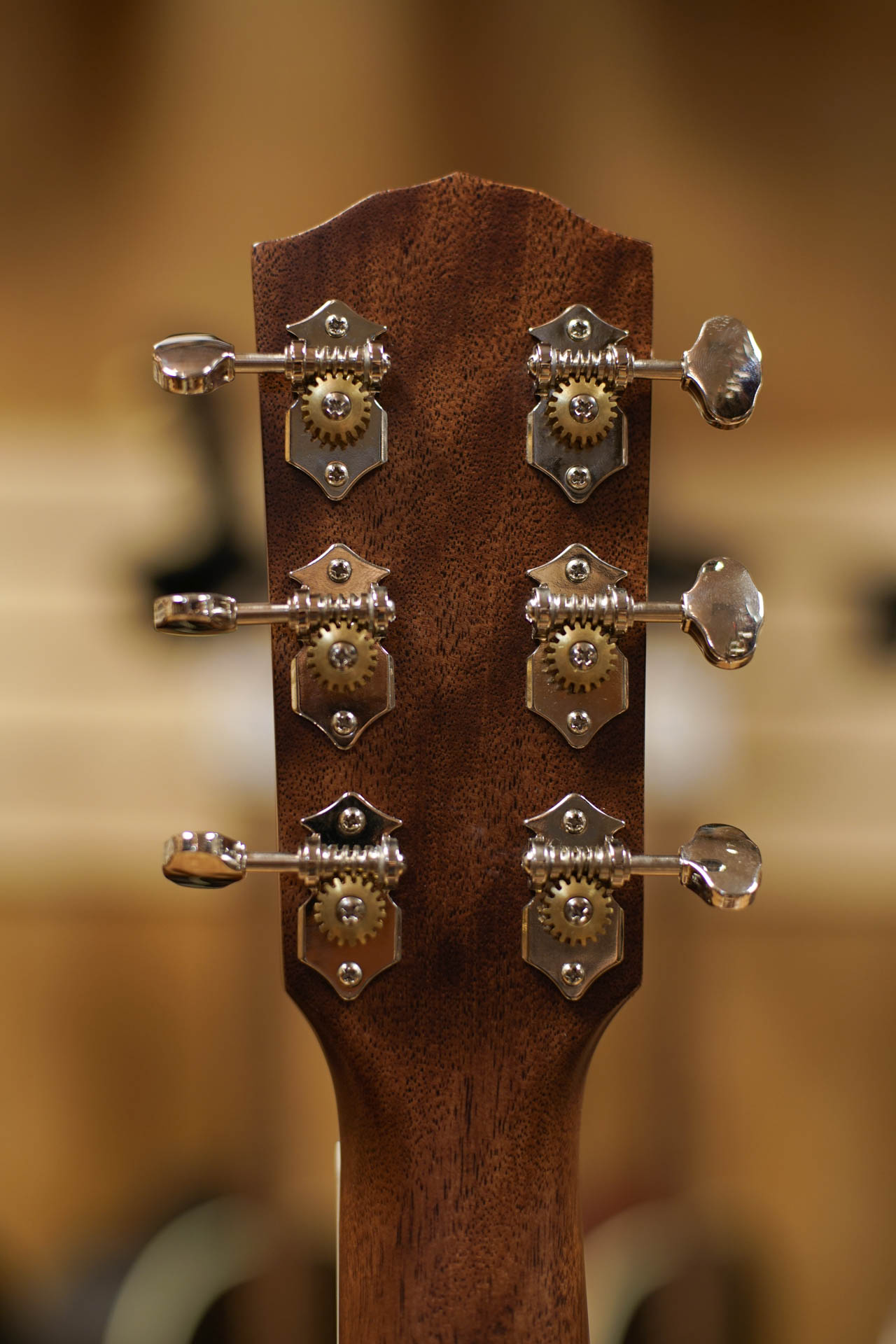 Fender PM-1 Standard Dreadnought Mahogany - Image 20