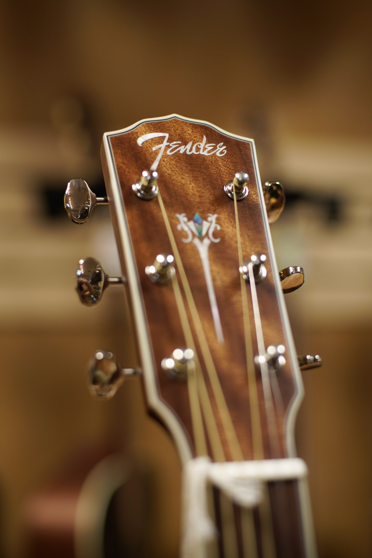Fender PM-1 Standard Dreadnought Mahogany - Image 18