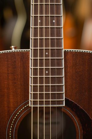 Fender PM-1 Standard Dreadnought Mahogany