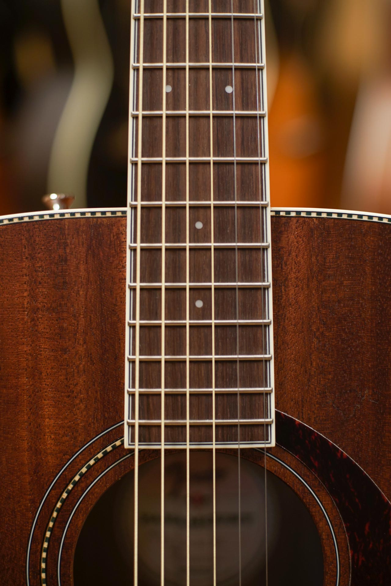 Fender PM-1 Standard Dreadnought Mahogany - Image 4