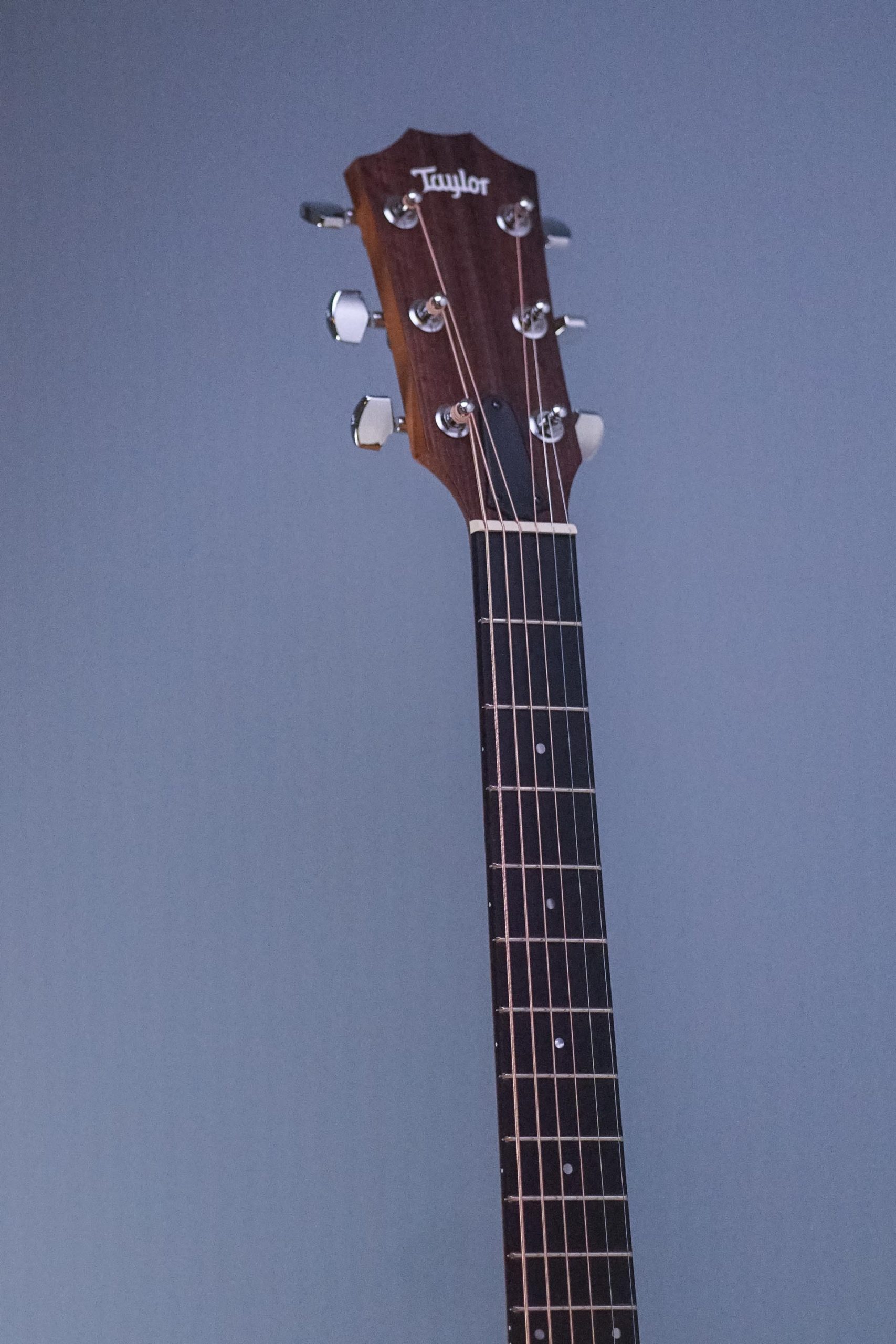 Taylor Academy 12 - Guitar Guys